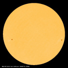 SDO/HMI Continuum Image of the Sun